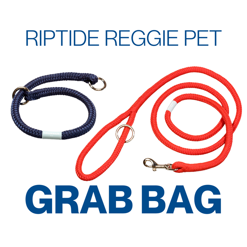 Riptide Reggie Pet Grab Bag!