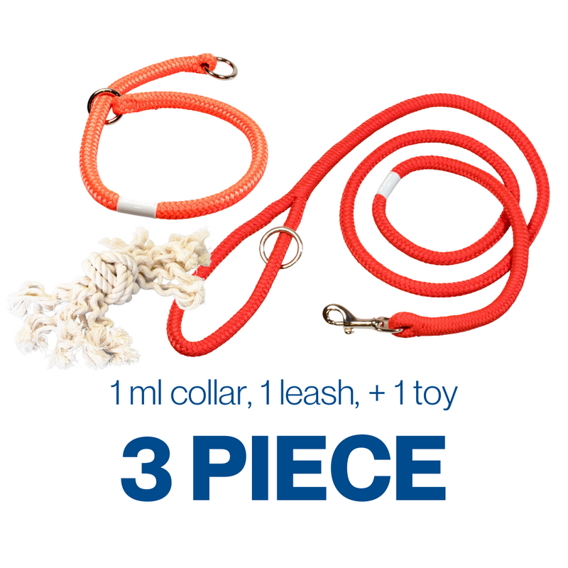 Riptide Reggie Pet Grab Bag!
